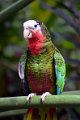 Dierentuin Emmen Mei 2014 07